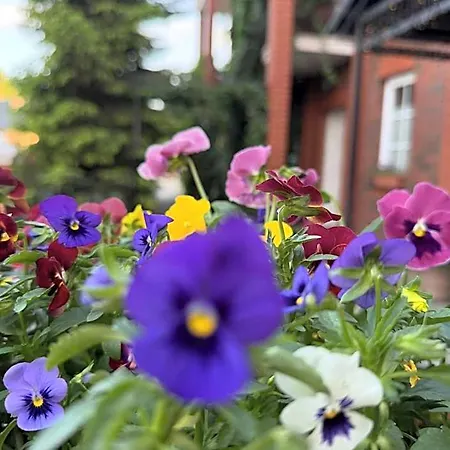 Bed & Breakfast Jeziorki