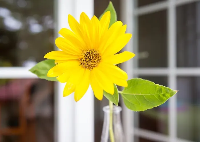 Jeziorki 71 3* Warszawa